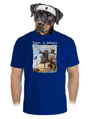 pánské sportovní tričko