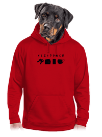 pánská mikina klokanka