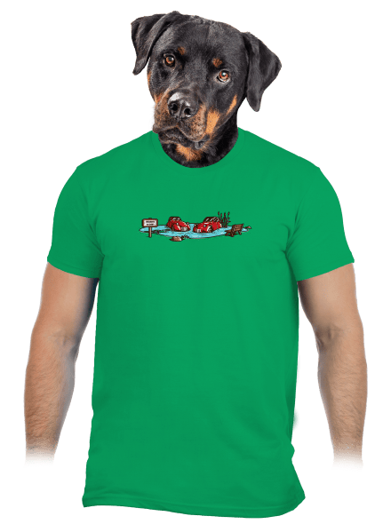 Kachny pánské tričko Kelly Green