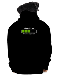 pánská mikina na zip