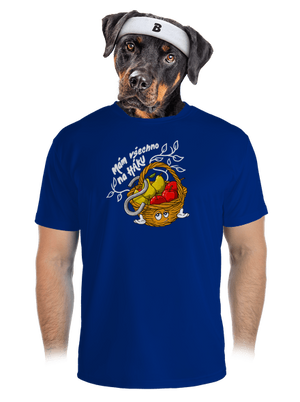 pánské sportovní tričko