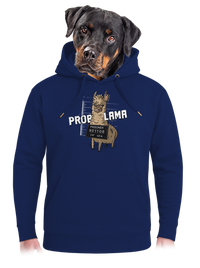 unisex mikina premium