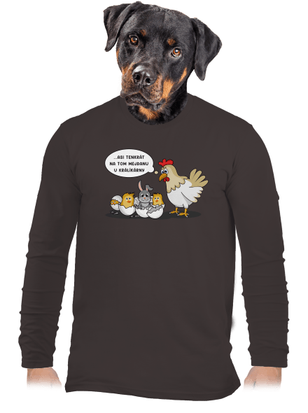 Mejdan u králíkárny pánské dlouhý rukáv Bear Brown