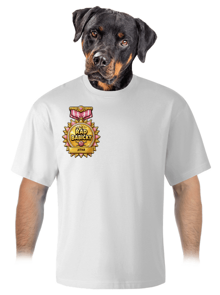Řád babičky unisex tričko oversized White