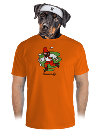 pánské sportovní tričko