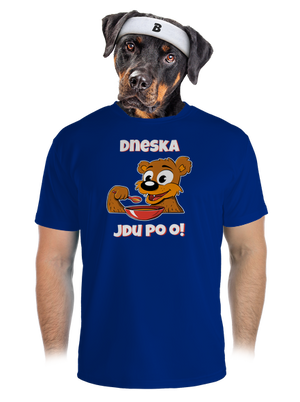 pánské sportovní tričko