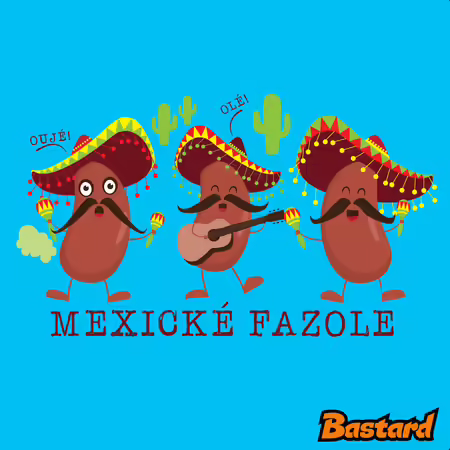 Mexická párty