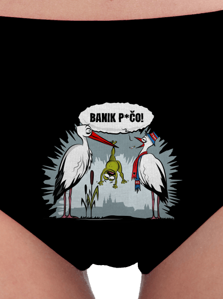 Banik p*čo! dámské kalhotky Black