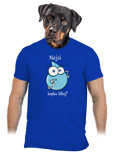 Nejsi kapku blbej pánské tričko Royal Blue