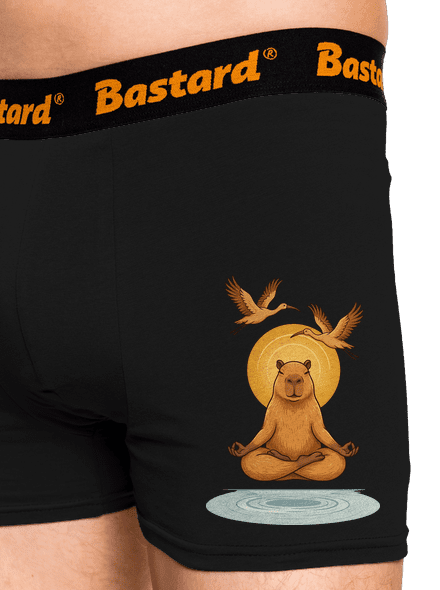 Jsem v zenu boxerky Black