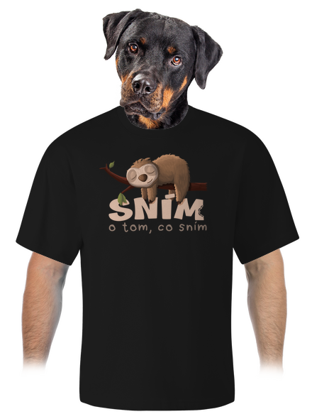 Sním o tom, co sním unisex tričko oversized Black