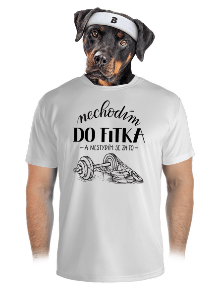 B12: Nechodim do fitka pánské sportovní tričko White