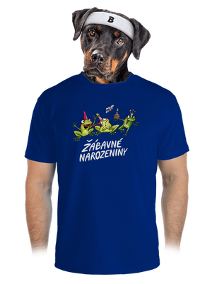 pánské sportovní tričko