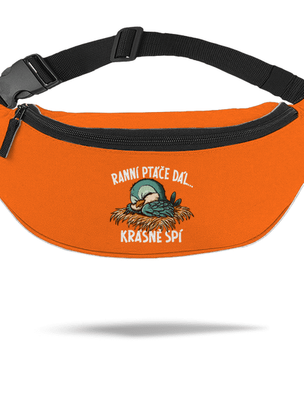 Ranní ptáče spí ledvinka Orange
