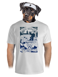 pánské sportovní tričko