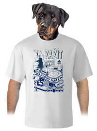 unisex tričko oversized