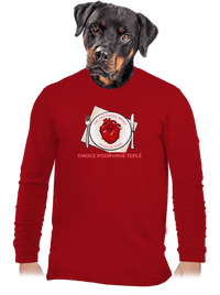 pánské dlouhý rukáv