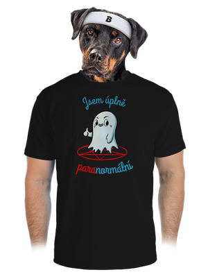 pánské sportovní tričko