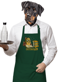 zástěra