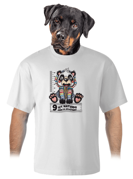 Školní docházka unisex tričko oversized White