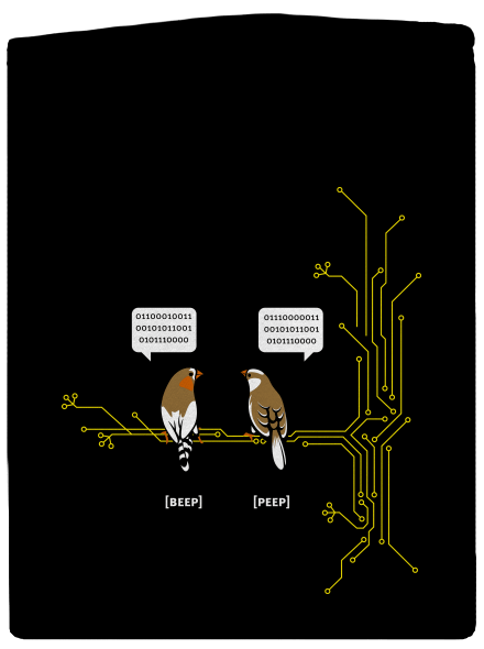 Beep and Peep dámská mikina na zip Black