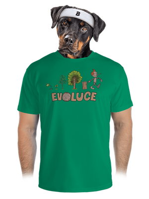 pánské sportovní tričko