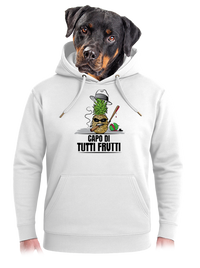 unisex mikina premium