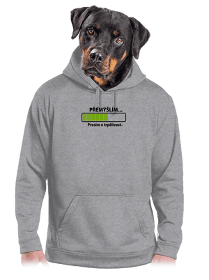 Přemýšlím pánská mikina klokanka Light Melange