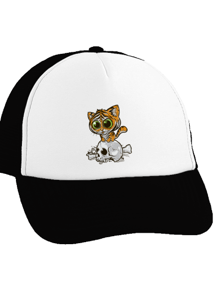 Tygřík kšiltovka truckerka Black cap