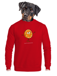 unisex mikina bez kapuce