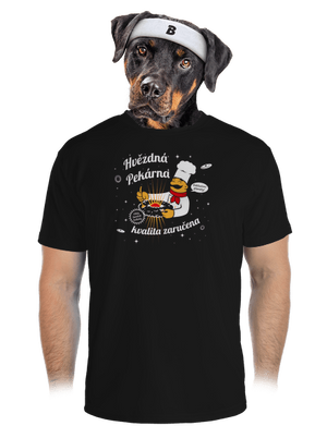 pánské sportovní tričko