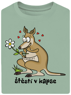 Štěstí v kapse unisex tričko oversized Sage
