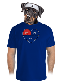 pánské sportovní tričko