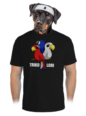 pánské sportovní tričko