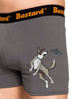 Létající talíř boxerky Gray Melange