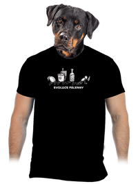pánské tričko