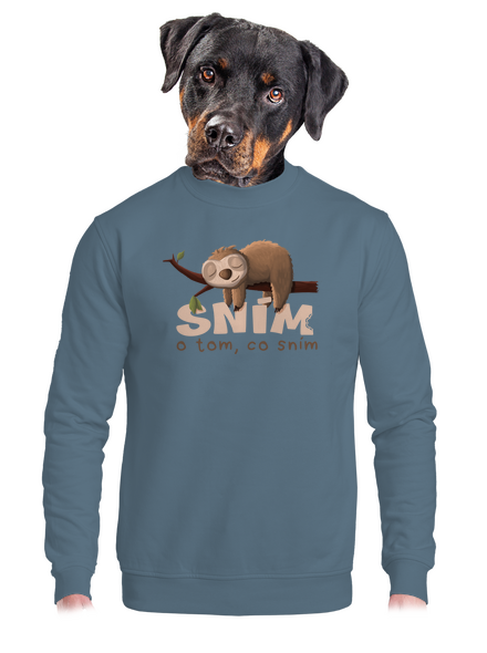 Sním o tom, co sním unisex mikina bez kapuce Nordic Blue
