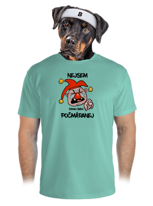 pánské sportovní tričko