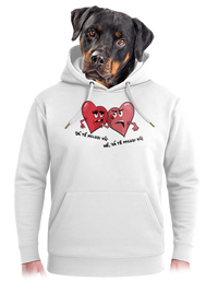 unisex mikina premium