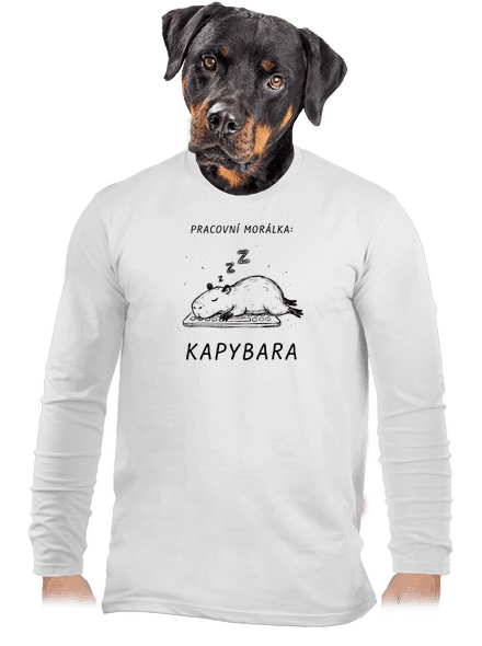 Pracovní morálka pánské dlouhý rukáv White