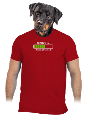 Přemýšlím pánské tričko Red