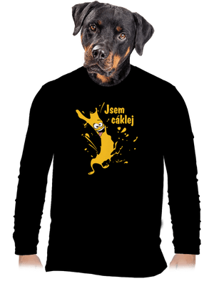pánské dlouhý rukáv