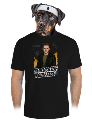 pánské sportovní tričko