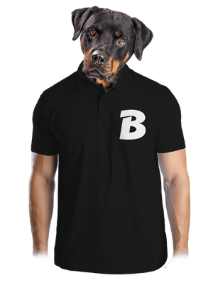 pánská polokošile