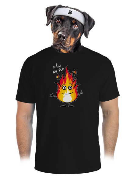 Pálí mi to pánské sportovní tričko Black