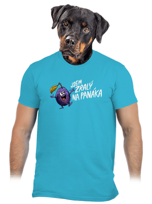 pánské tričko