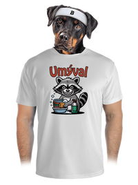 pánské sportovní tričko