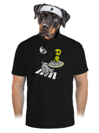 pánské sportovní tričko