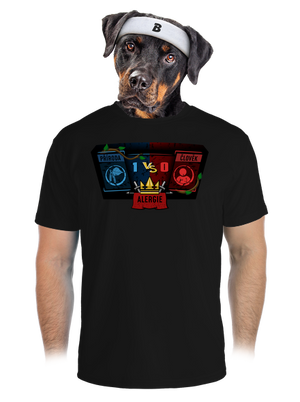 pánské sportovní tričko