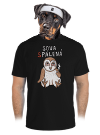 pánské sportovní tričko
